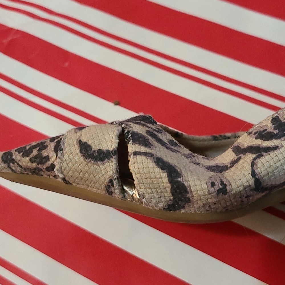Collection flats size 7m - Picture 4 of 5